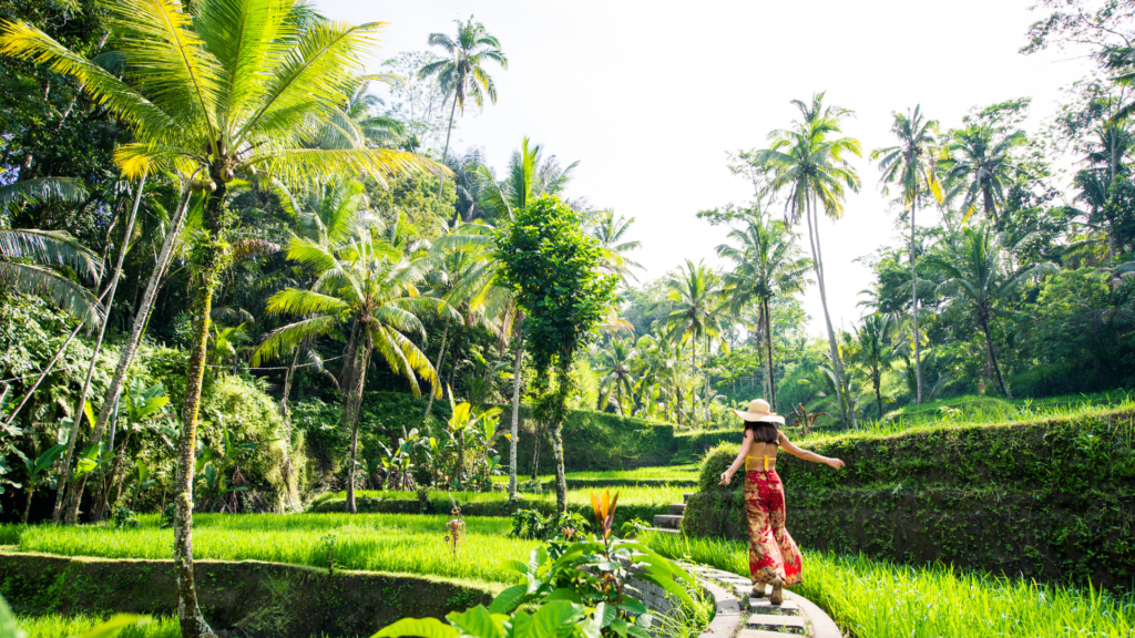 Tegalalang Rice Terrace