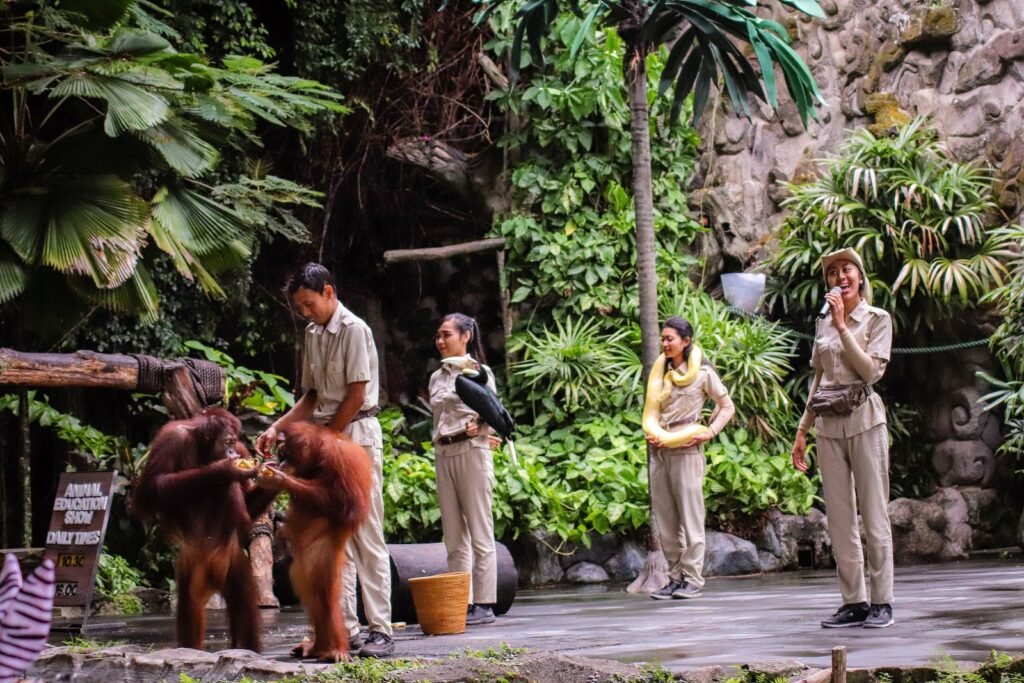 Bali Safari