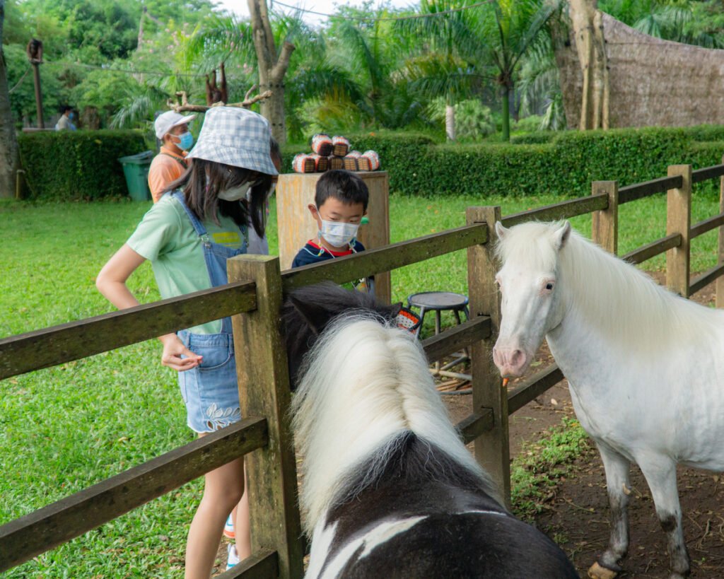 Bali Zoo