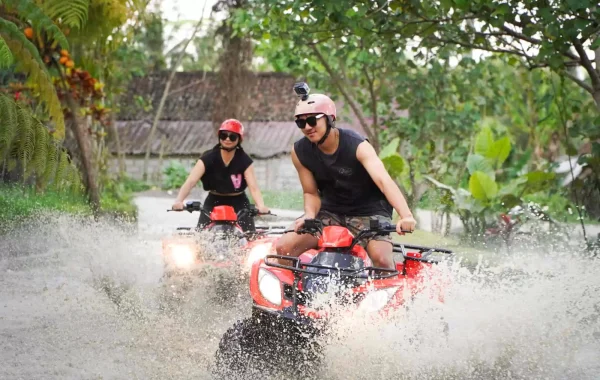 ATV kuber