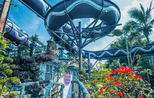 Adventure Pool
