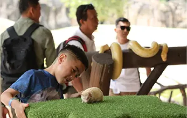 Animal Encounters