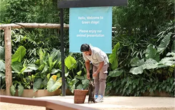 Animal Presentation