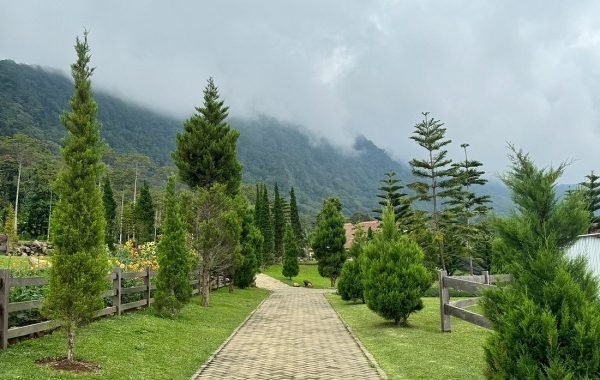 Bali Farm House