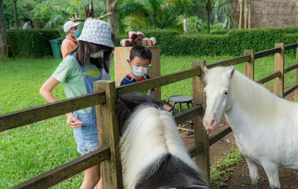 Bali Zoo
