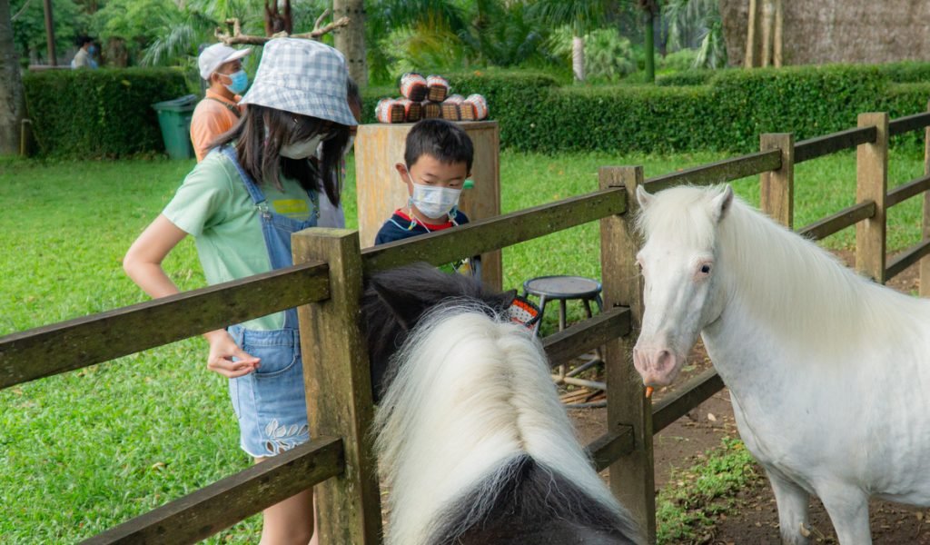 Bali Zoo