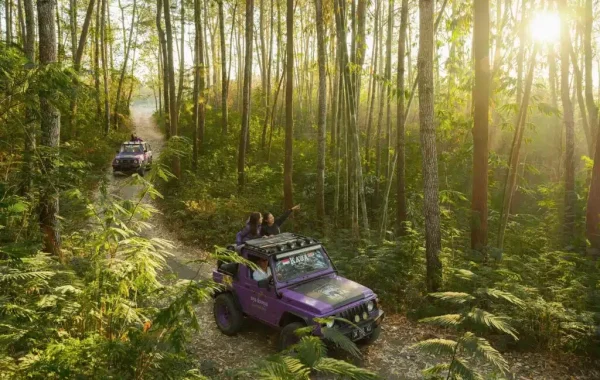 Jeep Adventure