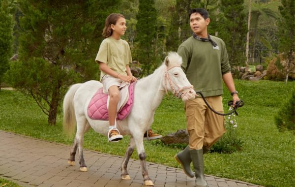 Pony Ride