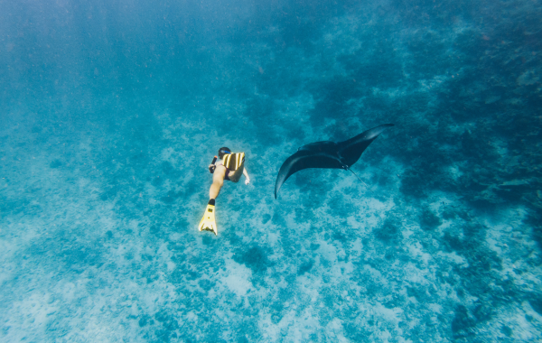 Snorkeling Nusa Penida
