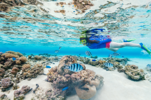 Snorkeling (5)