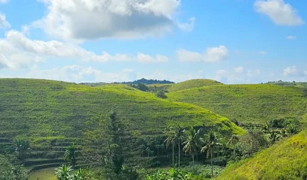 Teletubbies Hill