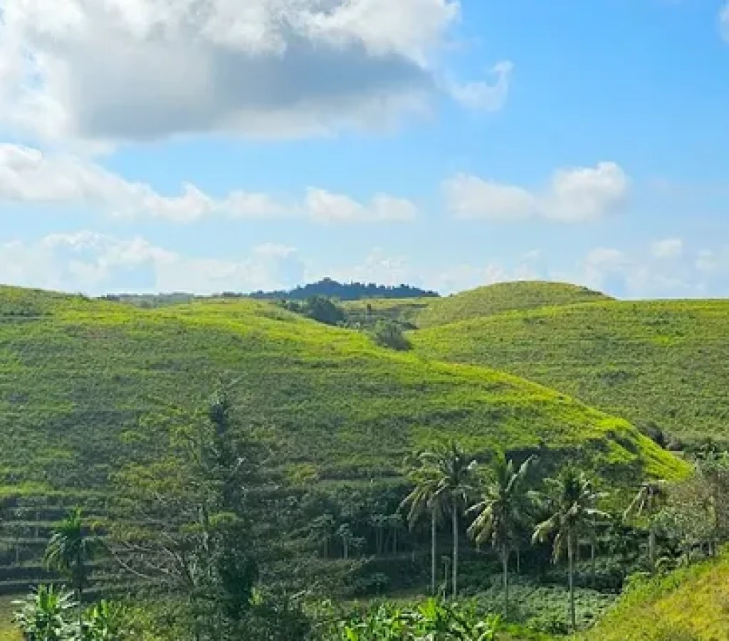 Teletubbies Hill