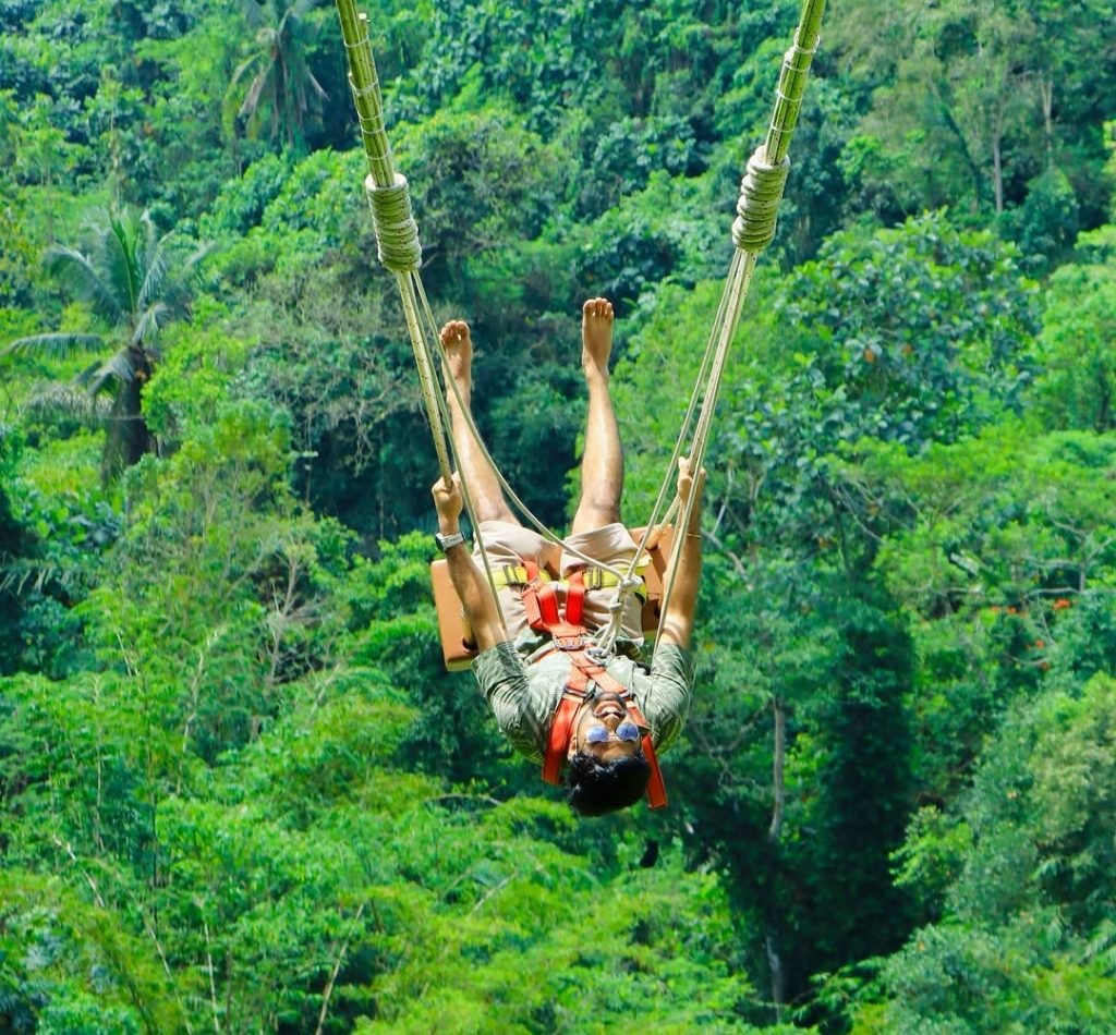 Ubud Swing