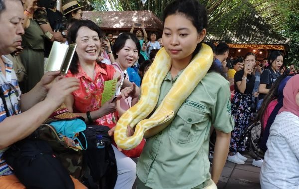 animal show 2