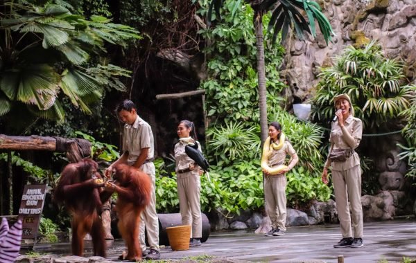 Bali Safari