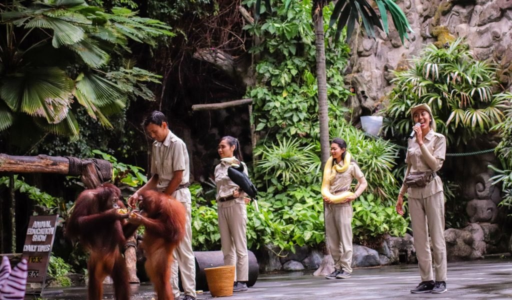 Bali Safari