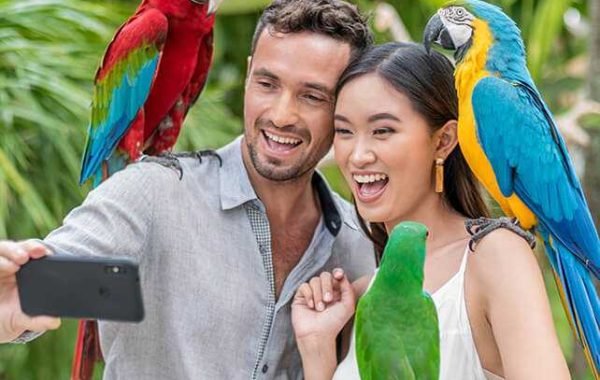 bali bird park