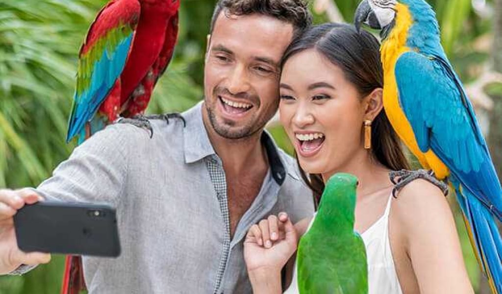 bali bird park