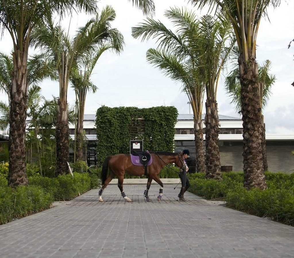 Bali Equestrian Centre