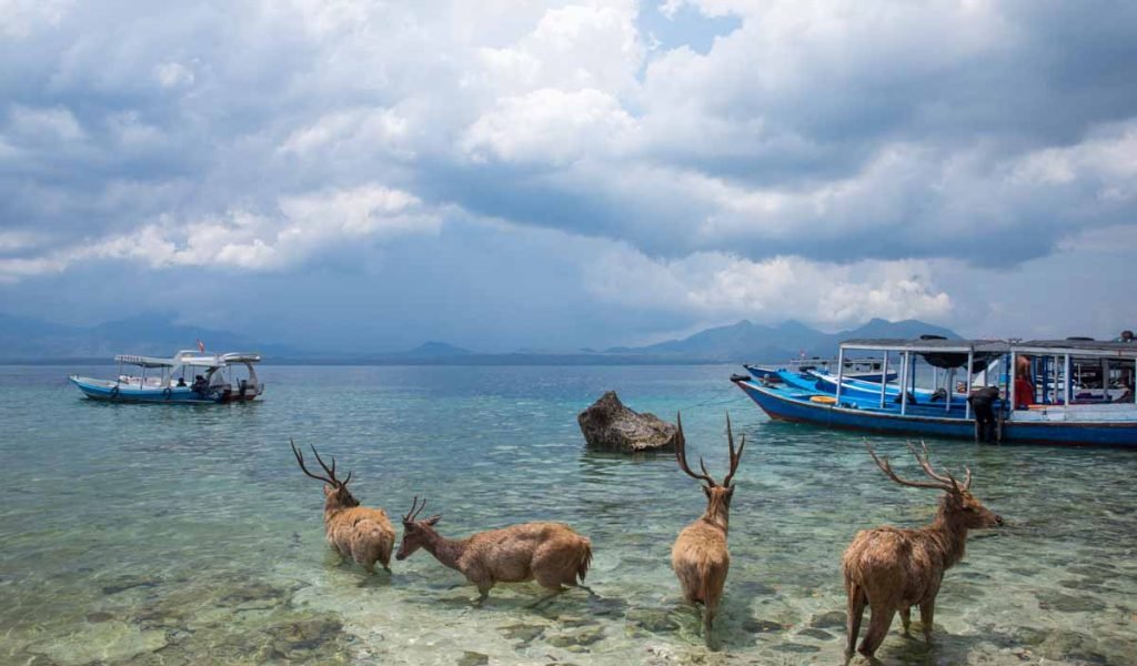 Bali National Park