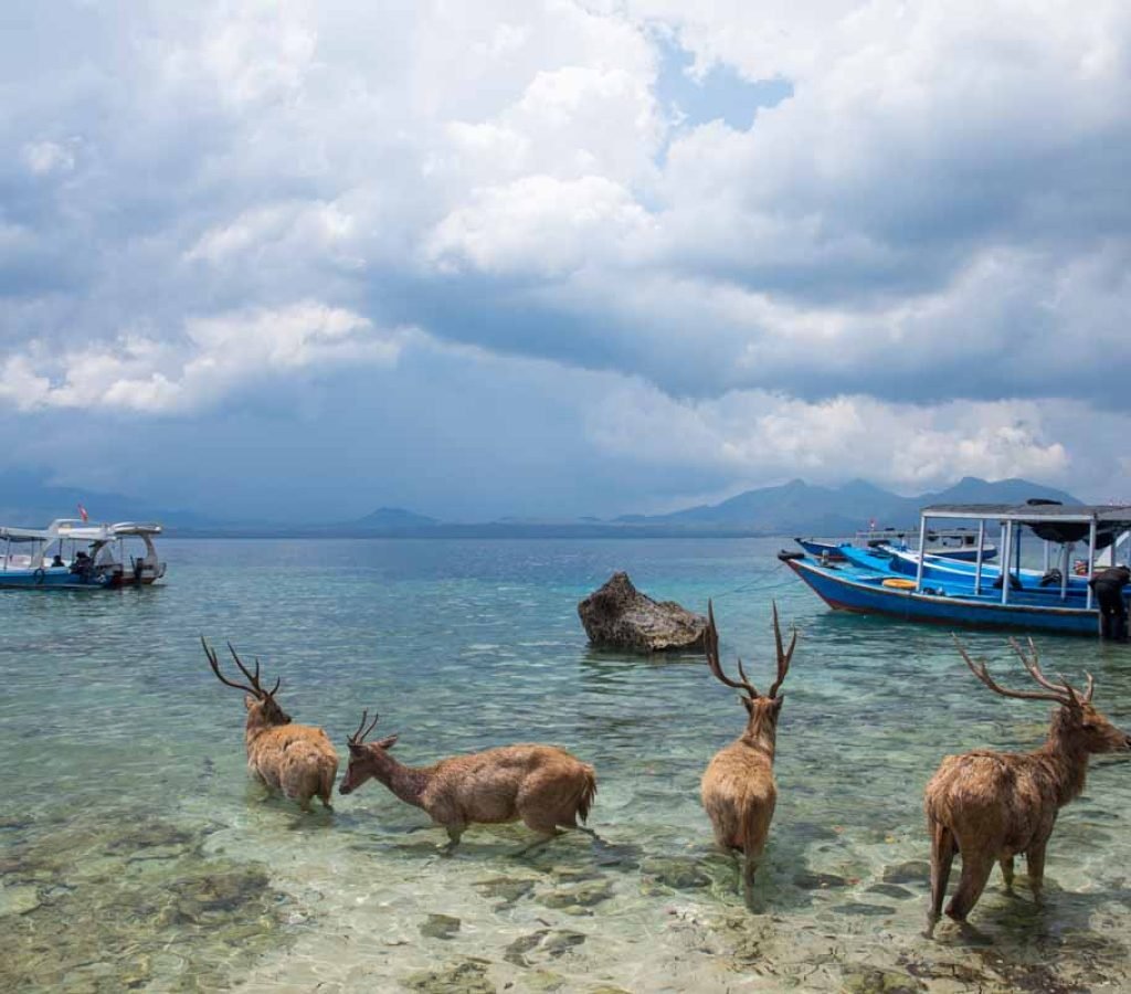 Bali National Park