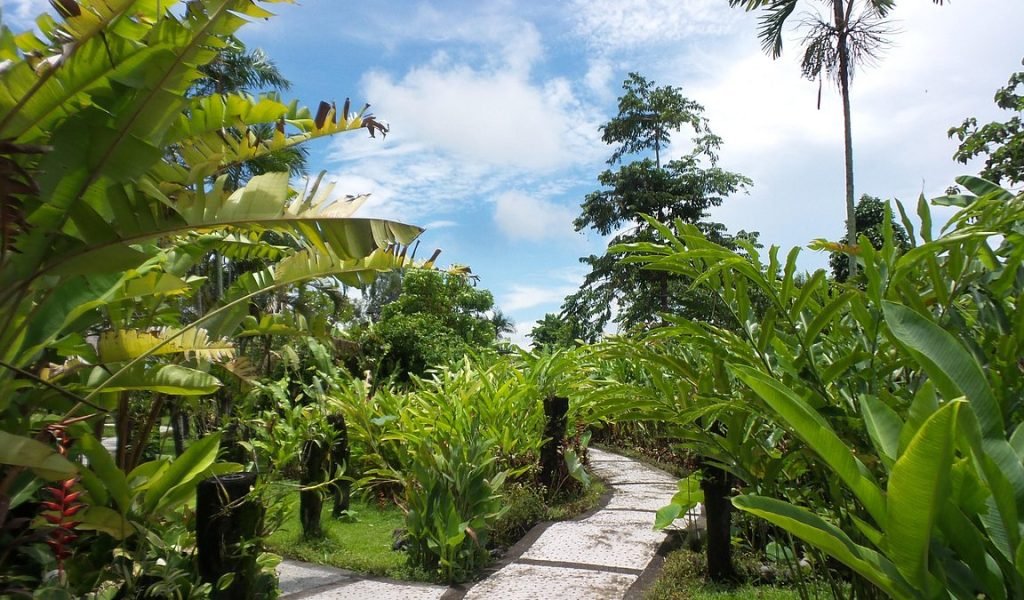 Bali Duta Orchid Garden