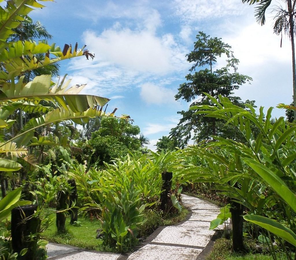 Bali Duta Orchid Garden