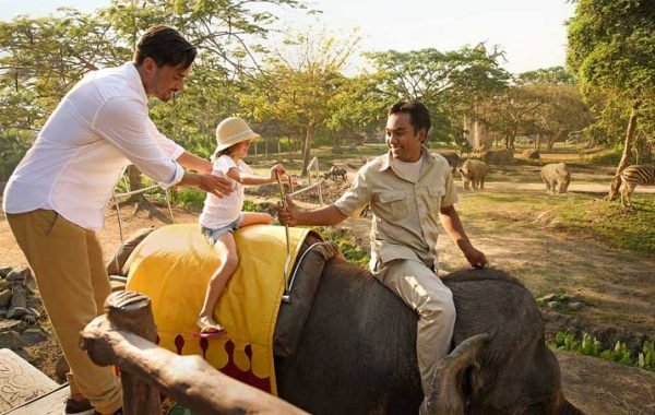 Bali safari