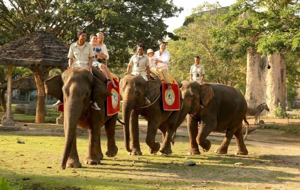 Bali Safari