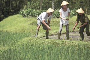 farmer