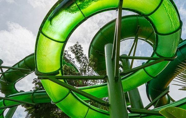 green vipers